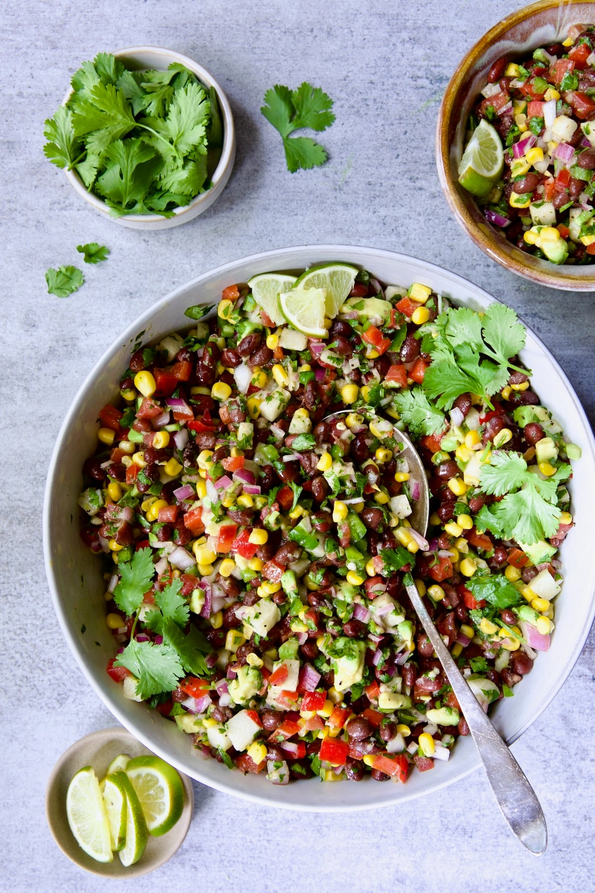 Salad in bowl with serving spoon and smaller bowls with cilantro sprigs, lime wedges and some in smaller bowl.
