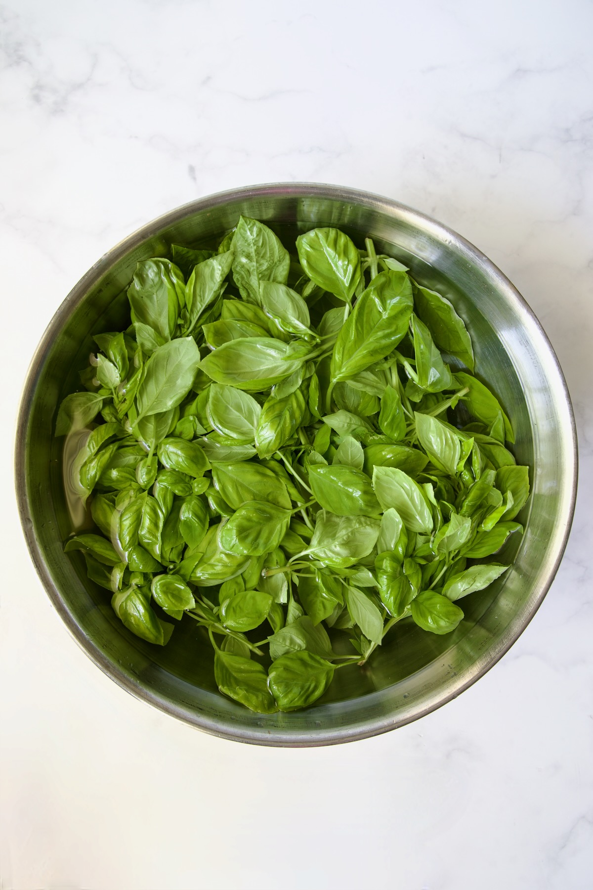 Fresh basil submerged in water in stainless steel bowl.