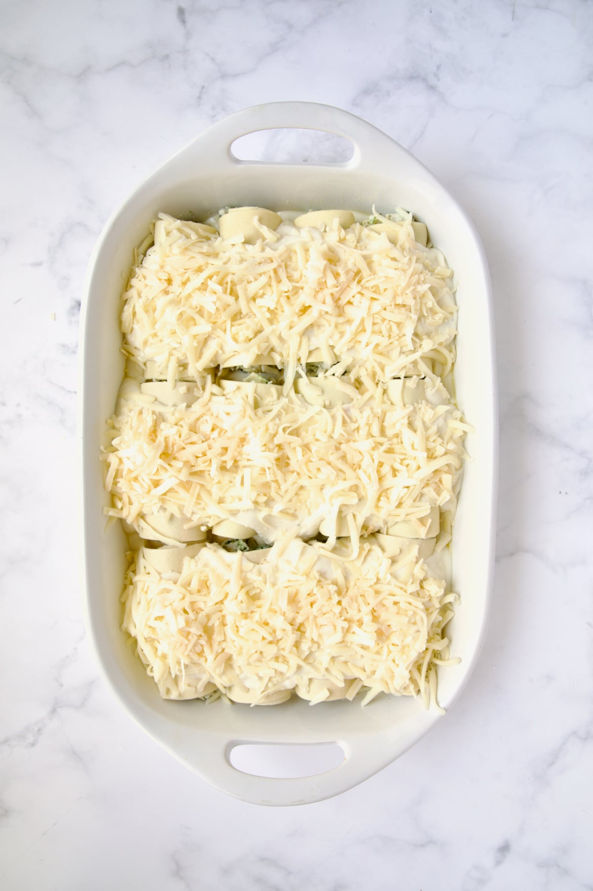 Assembled and sauced cannelloni in oval baking dish before being baked.