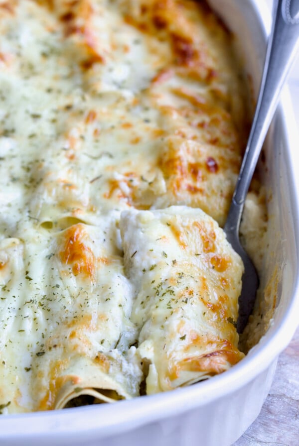 Serving fork picking up a Cannelloni with Chicken, Spinach and Artichokes from white baking dish.