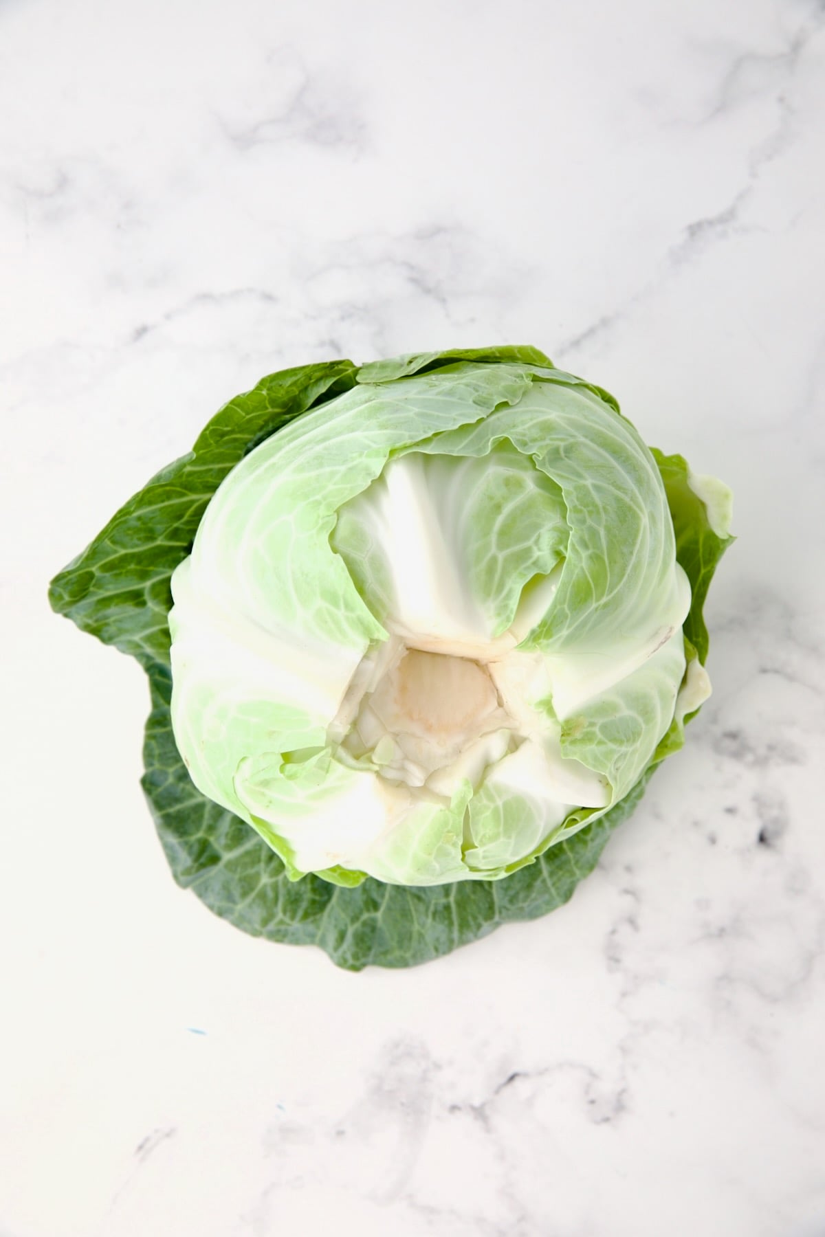 Uncooked head of cabbage with bottom core removed.