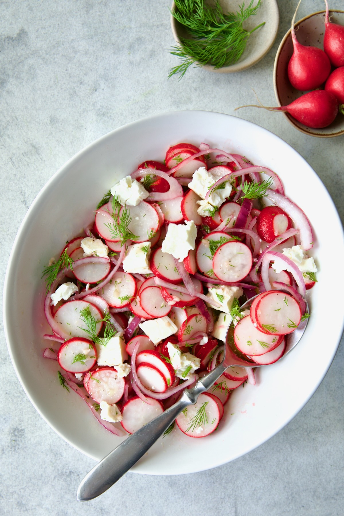 Radish Red Onion Salad in white oval serving bowl with serving spoon with small bowls of dill sprigs and whole radishes.