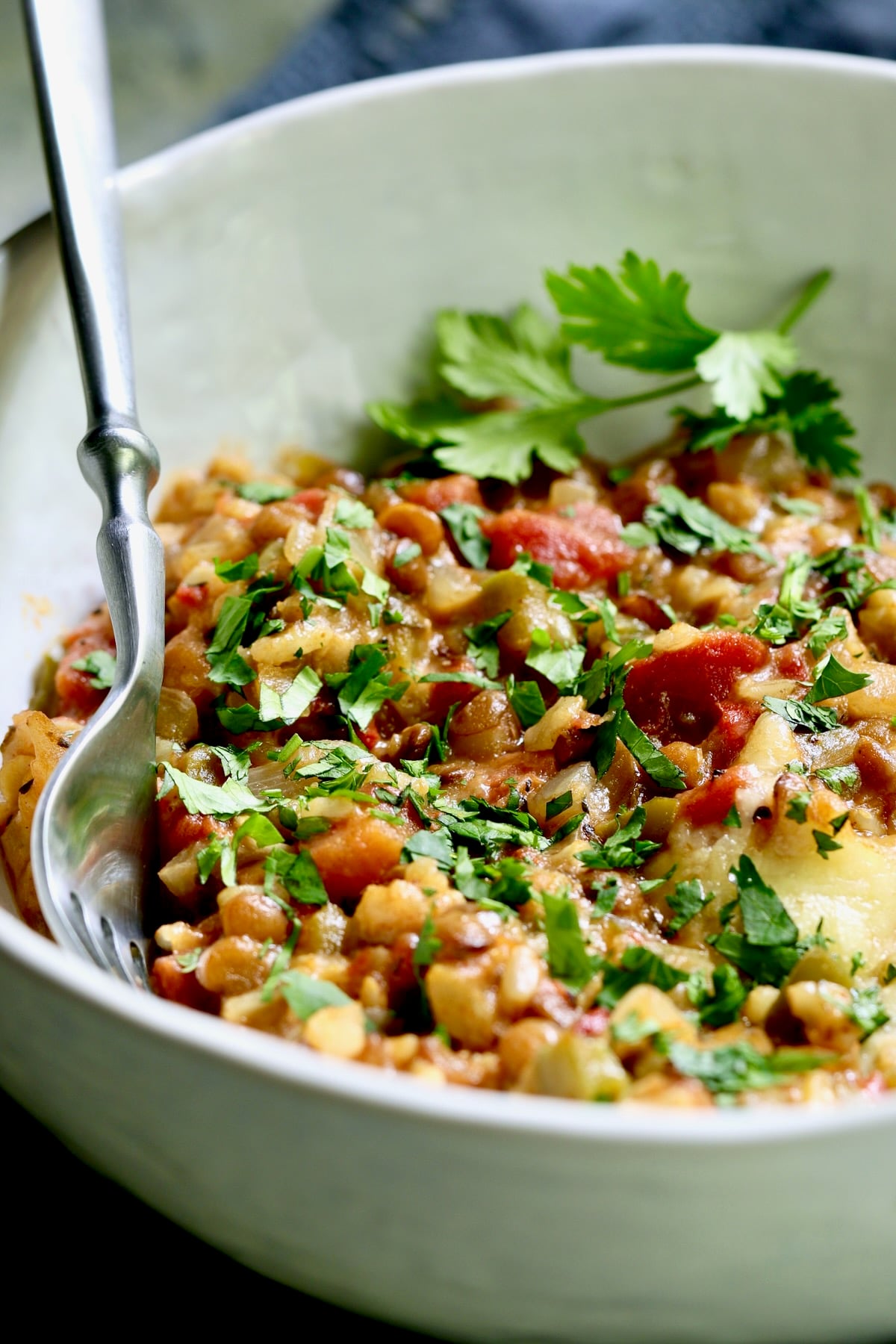 One serving of Southwestern Lentil and Brown Rice Bake in white bowl garnished with fresh cilantro,
