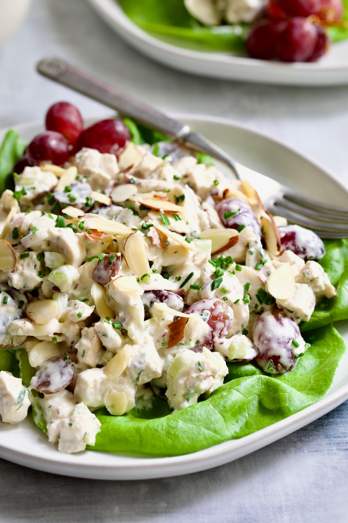 Chicken Salad with Herbs, Almonds and Grapes on lettuce on white plate.