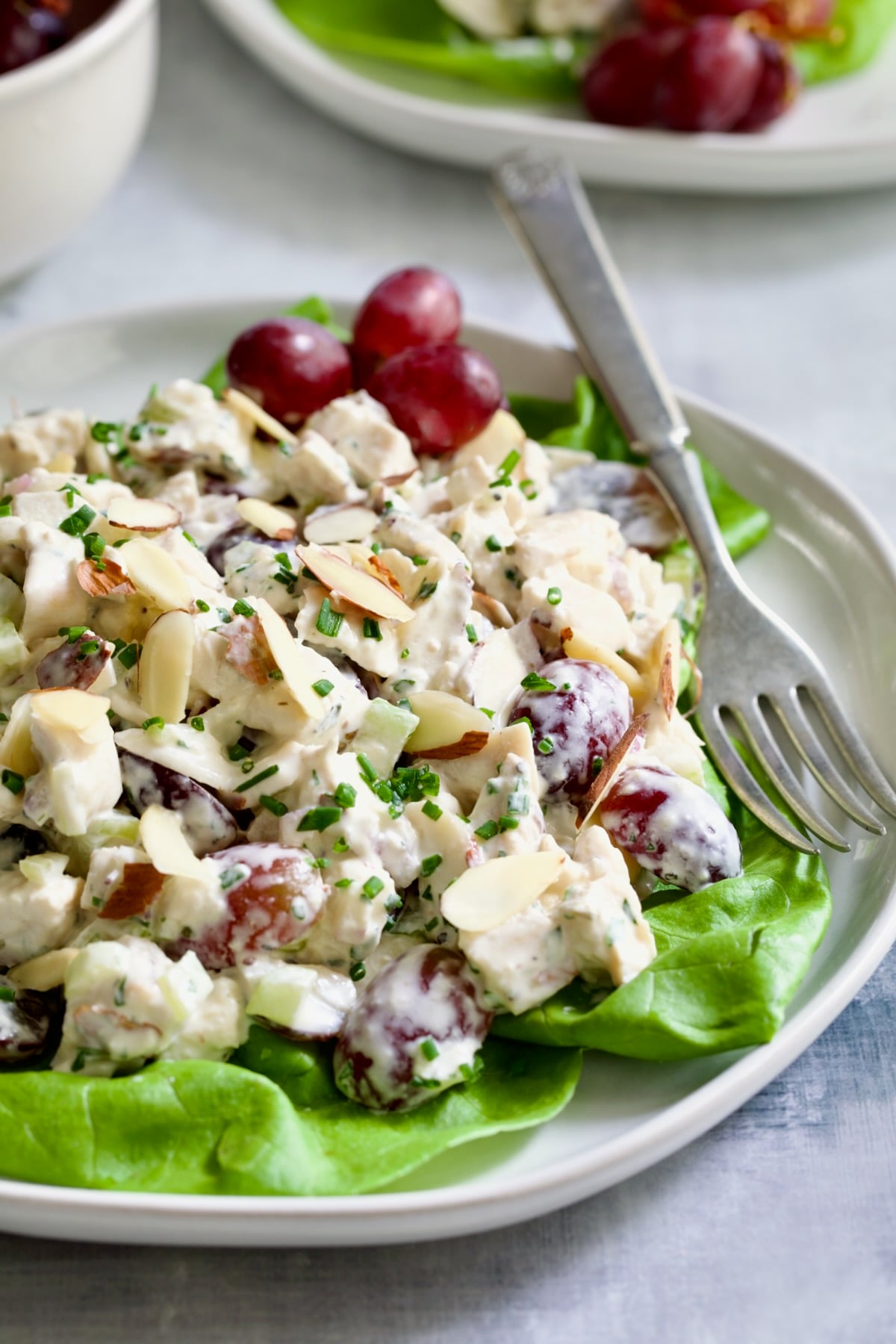 Chicken Salad with Herbs, Almonds and Grapes on lettuce on white plate.