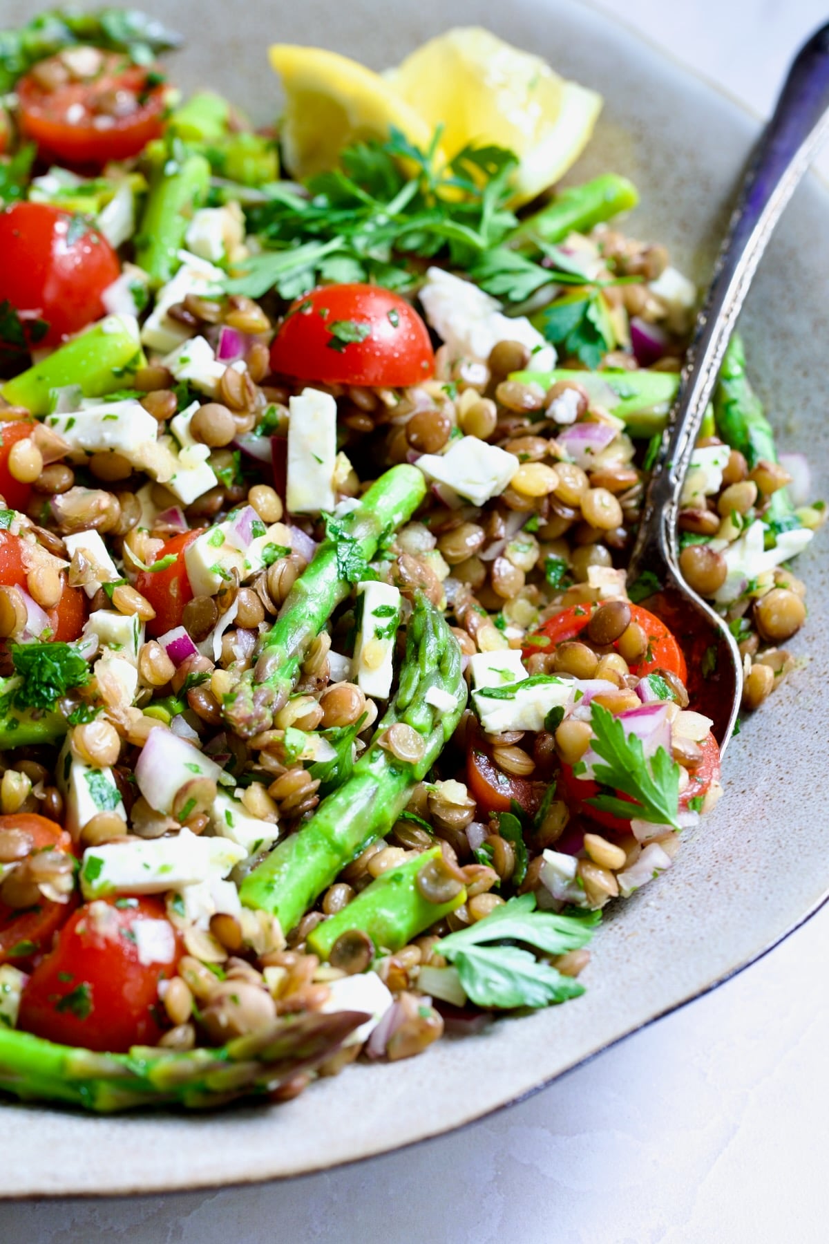 Lemony Lentil Salad with Asparagus and Tomatoes in round earthenware serving bowl with serving spoon.