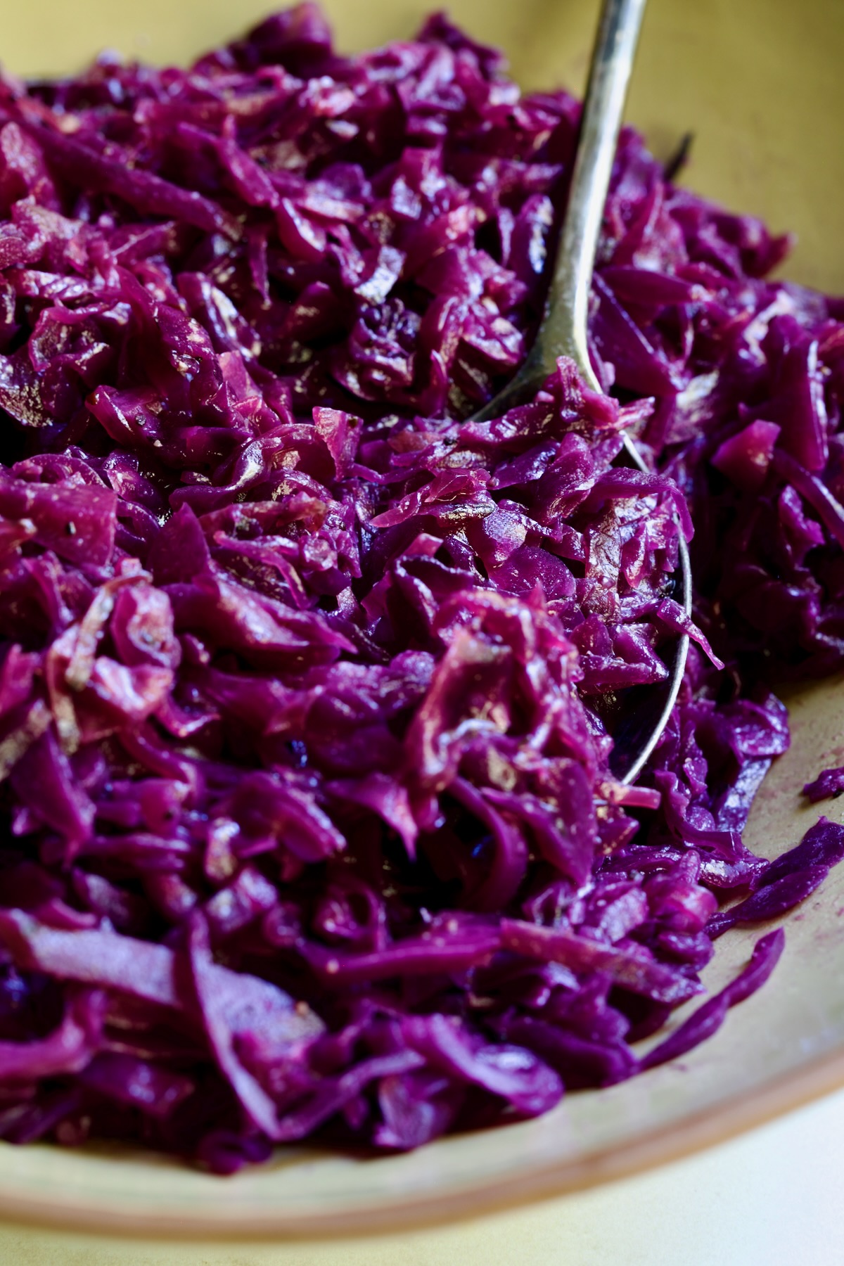 Sweet and Sour Red Cabbage in earthenware bowl with serving spoon.