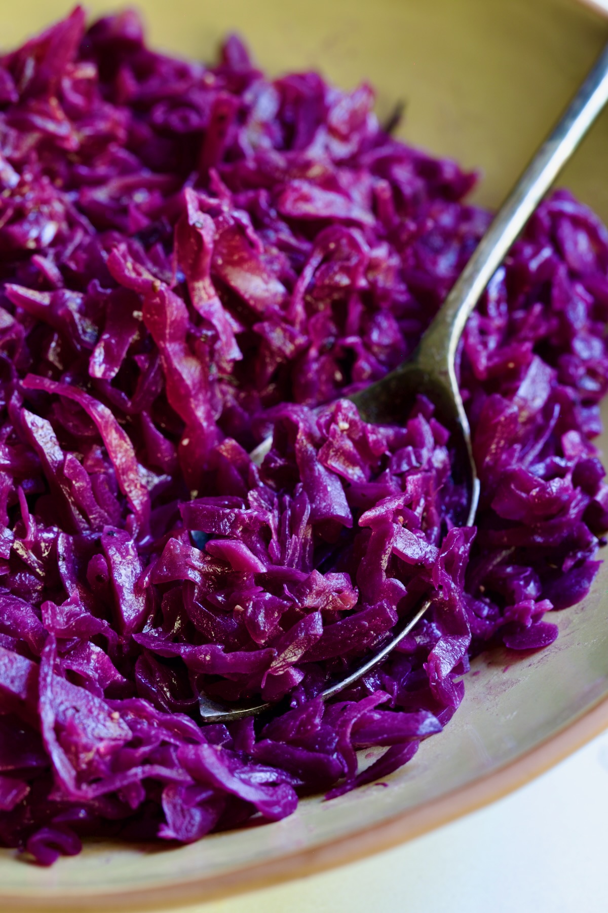 Sweet and Sour Red Cabbage in earthenware bowl with serving spoon.