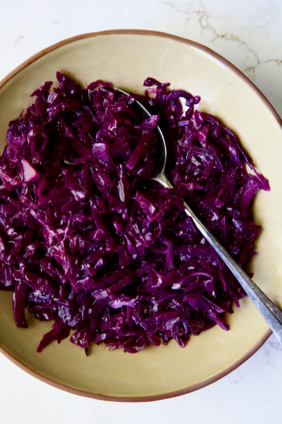 Sweet and Sour Red Cabbage in earthenware bowl with serving spoon.